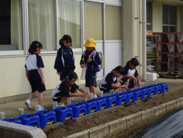 水やり